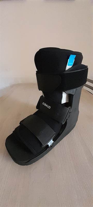 Foto - 6