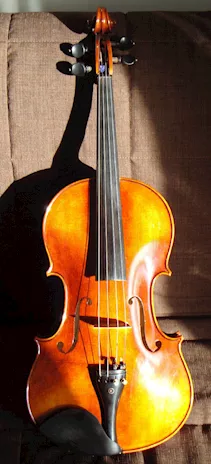 1 viola d'autore del 2000