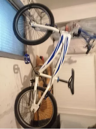 Bicicletta