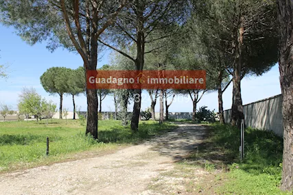 Lecce Villa in Vendita - Pronta da Abitare - Foto 4