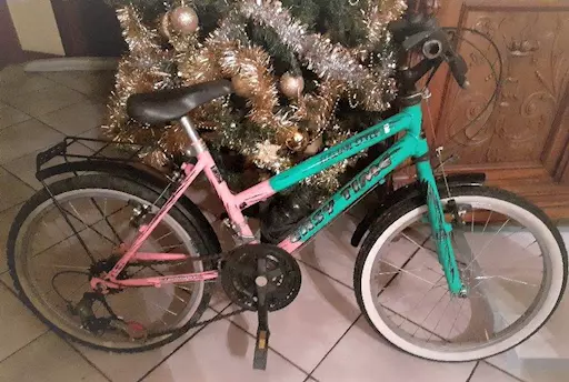 Bicicletta Easy Time
