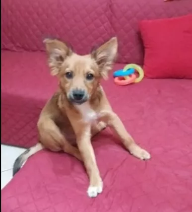 5 mesi maschietto urgente