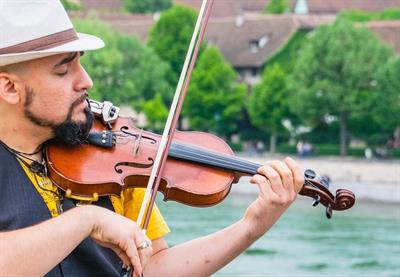 Violinista Guastalla