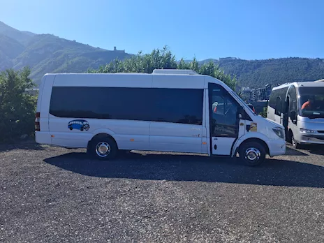 Mercedes 519 Sitcar
