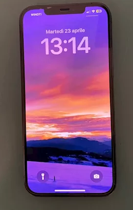 IPHONE 12 PRO MAX 256GB