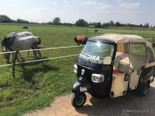 Noleggio Ape Calessino a Torino
