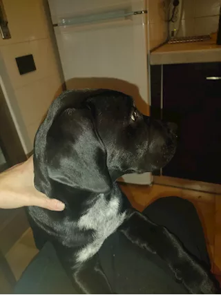 Jack cerca fidanzatina