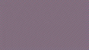 Splendido cucciolo di Barboncino