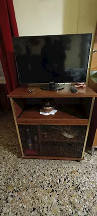 Mobile TV