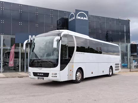 Bellissimo Lion Coach MAN R07