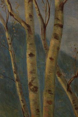 Quadro olio su tela alberi di betulla, con firma, colore prevalente - Foto 3