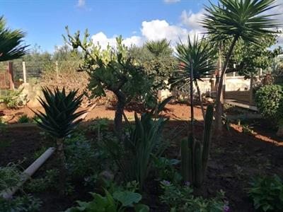 MARSALA CASA INDIPENDENTE DI MQ 238 + TERRENO DI MQ 125