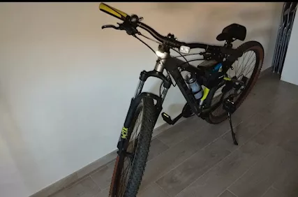 MTB Sharptail 2 Bulls