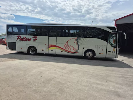 Vendo pullman Marca Mercedes Anno 2014 Km 675000, ottime condizioni - Anteprima 3