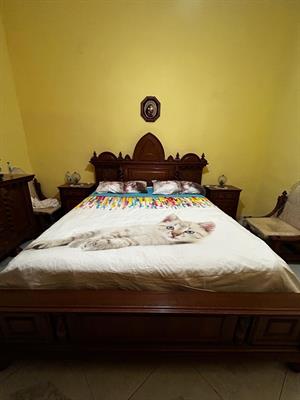 Foto - 7