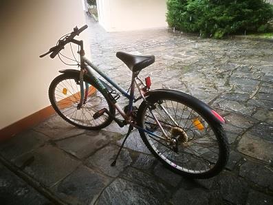 MOUNTAIN BIKE