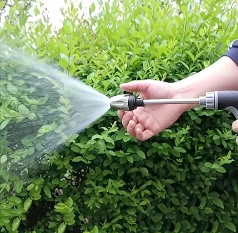 Pistola per lavaggio auto ad alta pressione con manico lungo - Anteprima 1