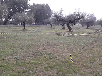 CEPAGATTI (PE) Terreno edificabile in vendita