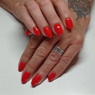 Foto - 7